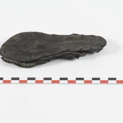 Semelle de chaussure droite avec estampille