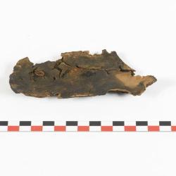 Semelle de chaussure