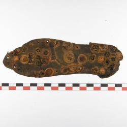 Semelle de chaussure