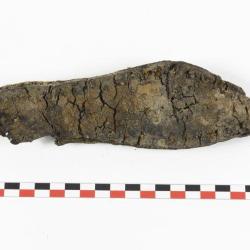 Semelle de chaussure