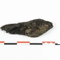 Semelle de chaussure