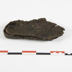 Semelles externes et internes d'une chaussure gauche