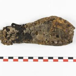 Semelle de chaussure