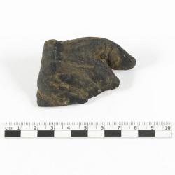 Fragment de cuir