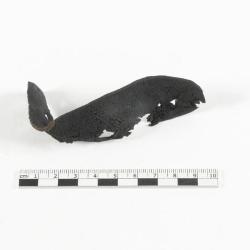Fragment de cuir