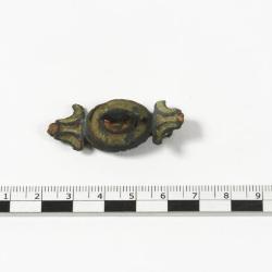 fibule 