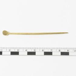 Specillum (spatule à fard de type curette-sonde) ou ligula