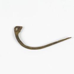 fibule