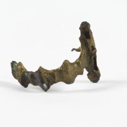 fibule