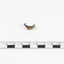 Bague